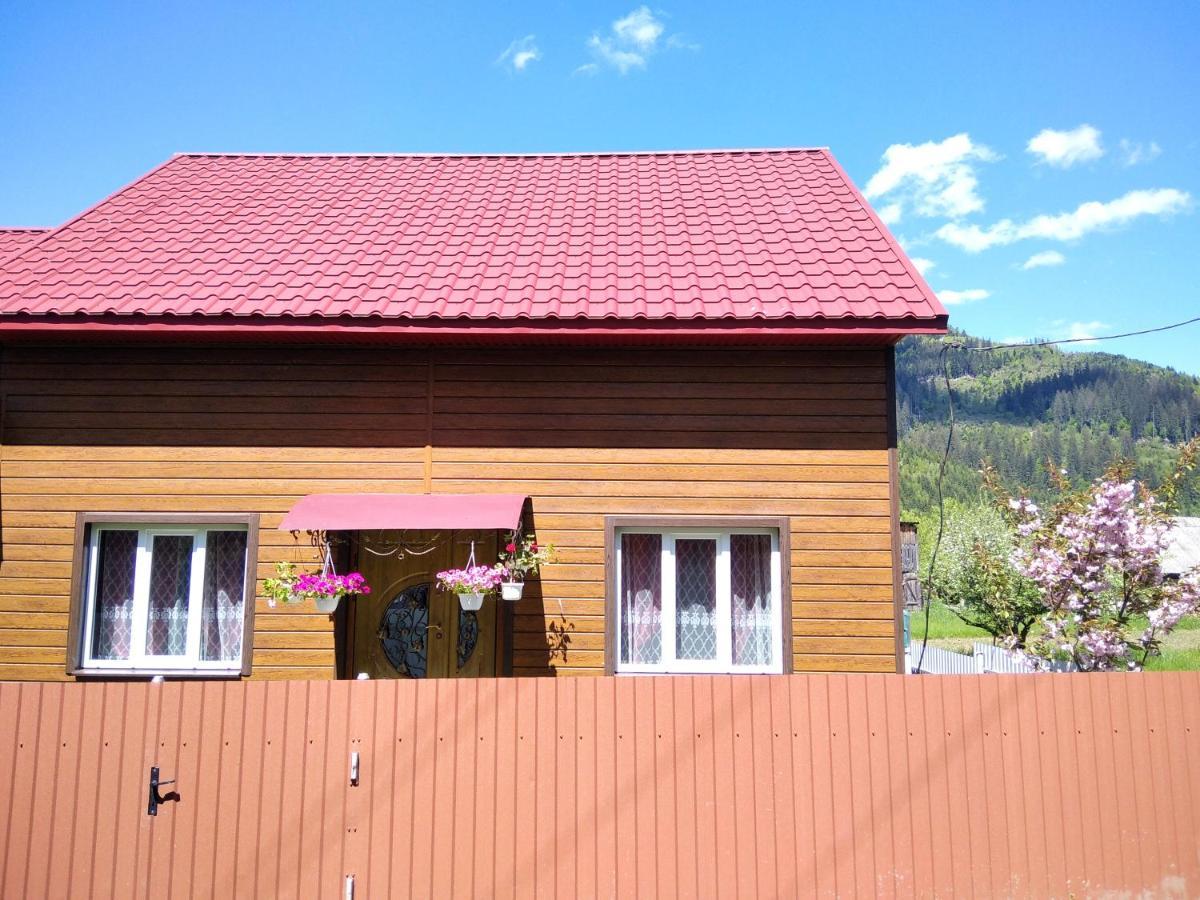 Відпочинок У Карпатах, Мінеральні Ванни, Банний Чан! Hostal Verkhnyaya Bystra Exterior foto
