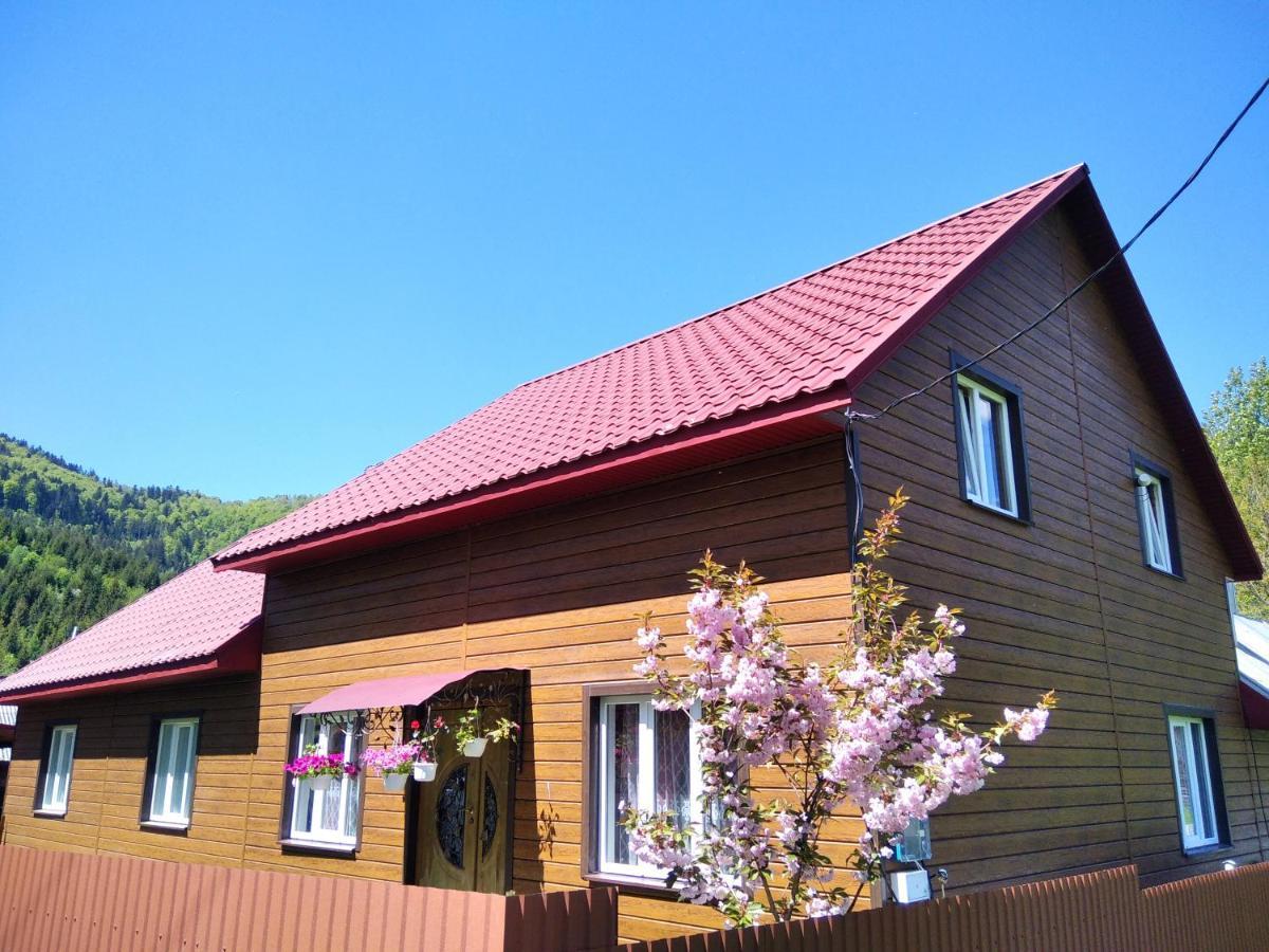 Відпочинок У Карпатах, Мінеральні Ванни, Банний Чан! Hostal Verkhnyaya Bystra Exterior foto
