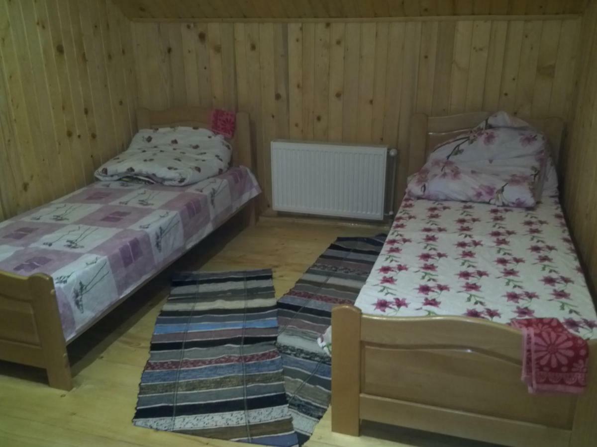 Відпочинок У Карпатах, Мінеральні Ванни, Банний Чан! Hostal Verkhnyaya Bystra Exterior foto